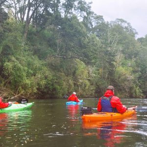 full day kayak