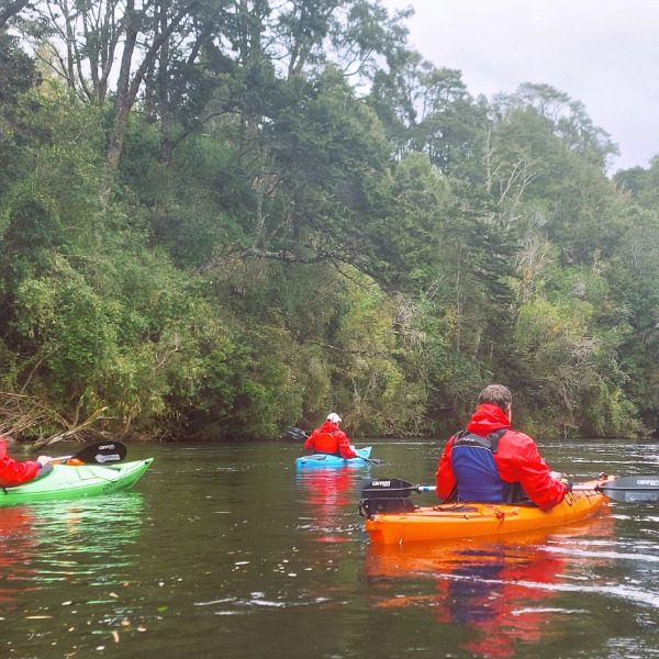 Kayak Rio Maullín – Dia Completo